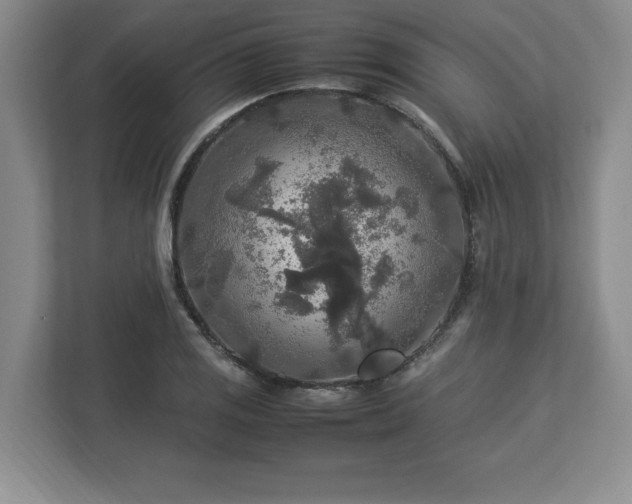 X0000113071125200909041052