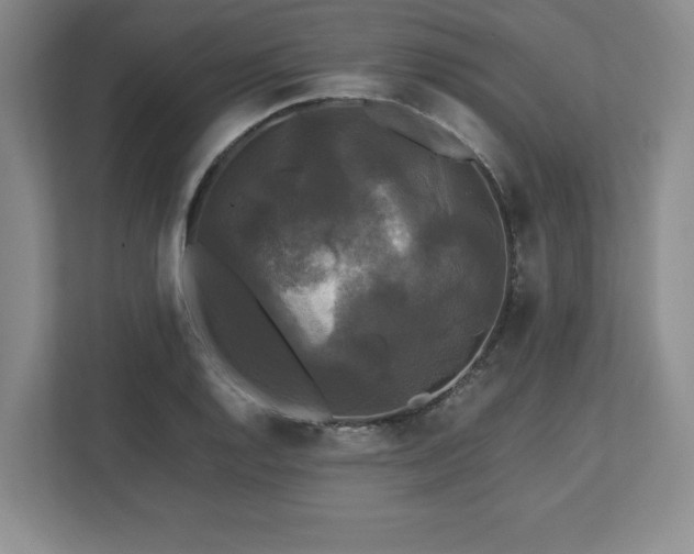 X0000113071128200909041052