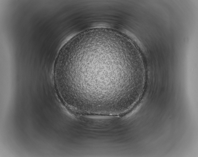 X0000113071129200909041052