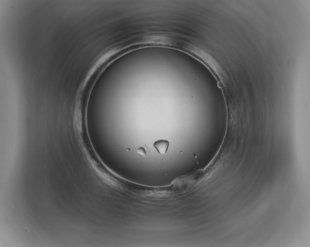 X0000113071131200909041052