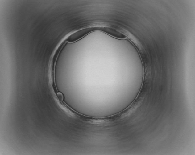 X0000113071132200909041052