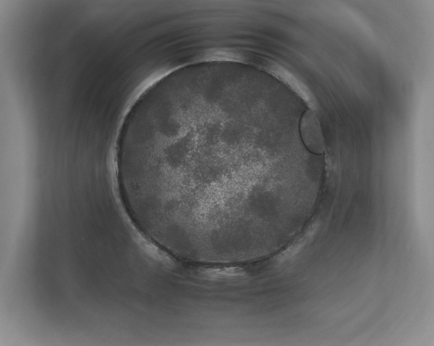 X0000113071133200909041052