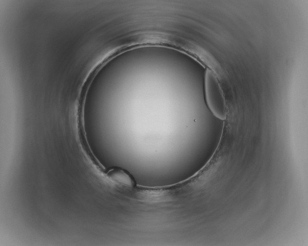 X0000113071134200909041052