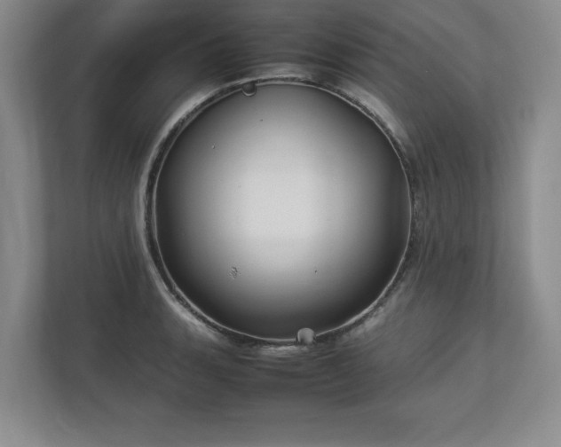 X0000113071135200909041052