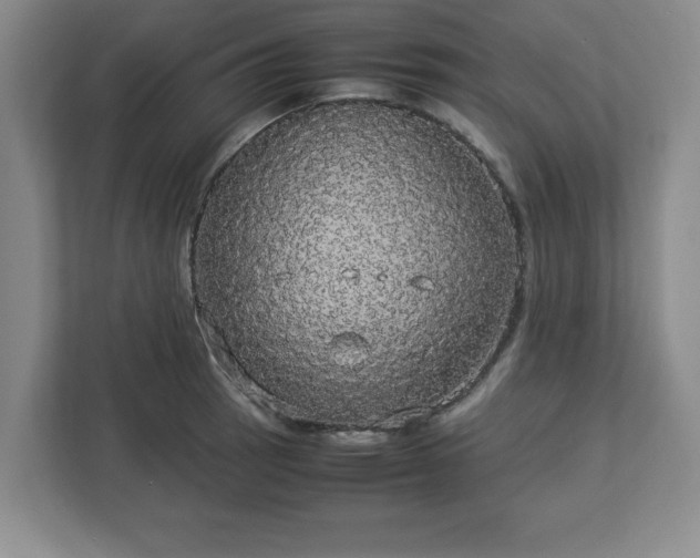 X0000113071137200909041052