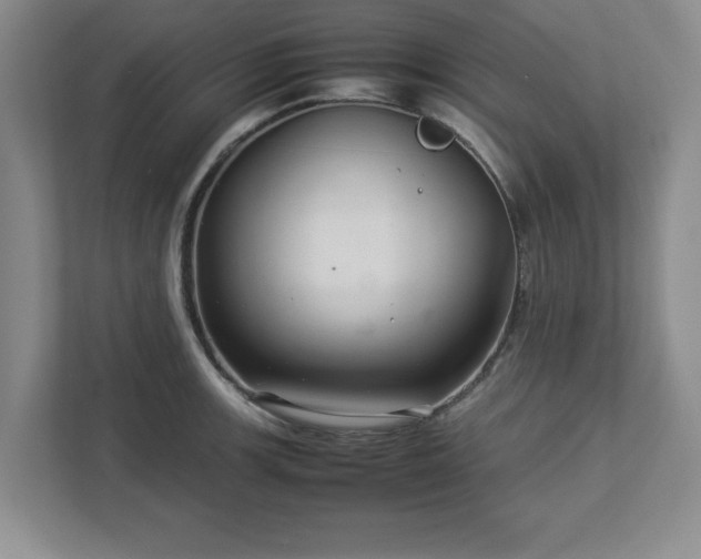 X0000113071139200909041052