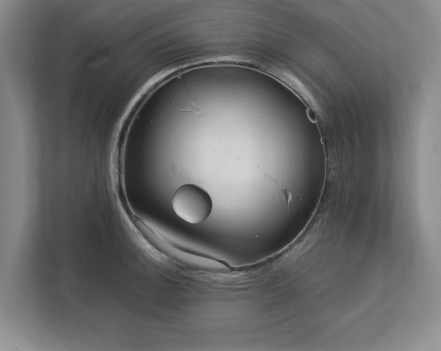 X0000113071140200909041052