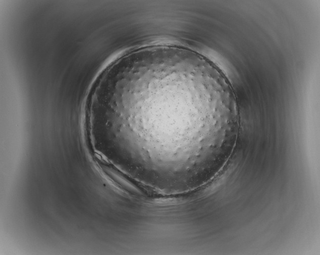 X0000113071142200909041052