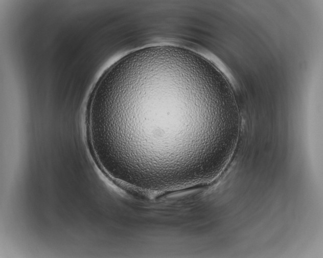 X0000113071143200909041052