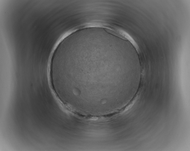 X0000113071146200909041053