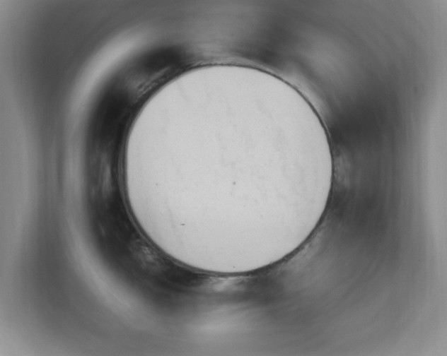 X0000113071150200909041053