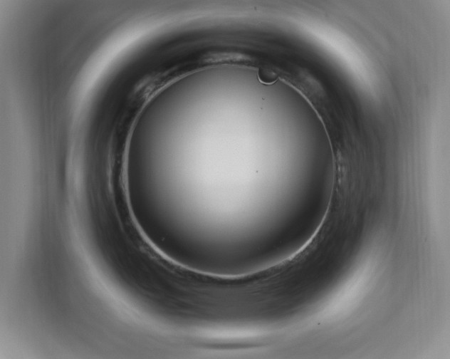 X0000113071151200909041053