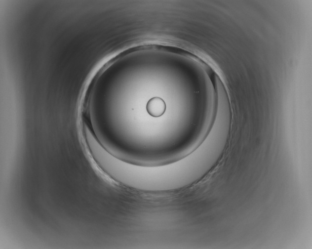 X0000113071152200909041053