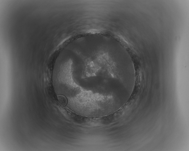 X0000113071158200909041052