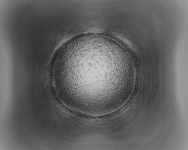 X0000113071160200909041052