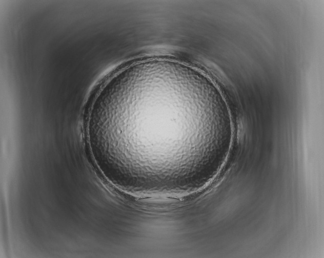 X0000113071164200909041052