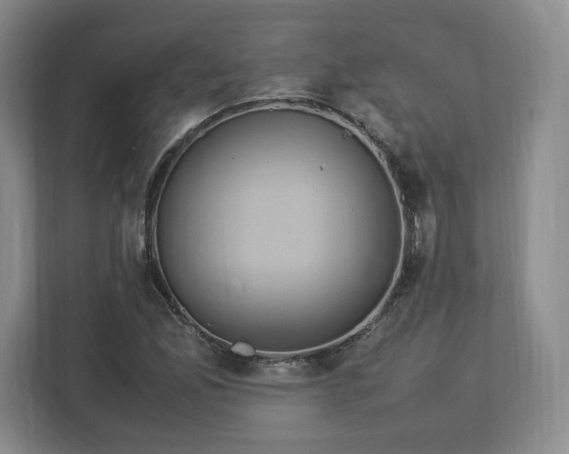 X0000113071165200909041052