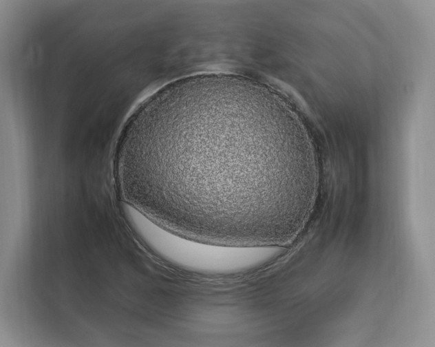 X0000113071168200909041052