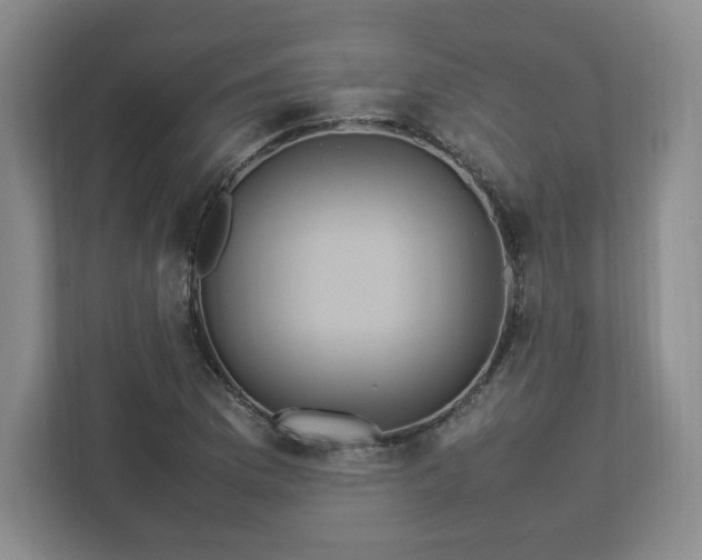 X0000113071169200909041052