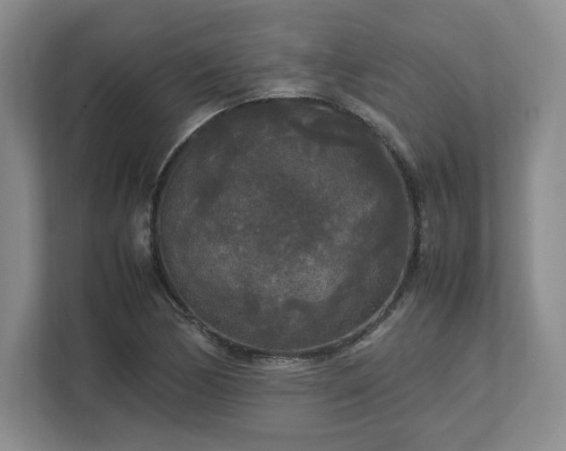 X0000113071170200909041052