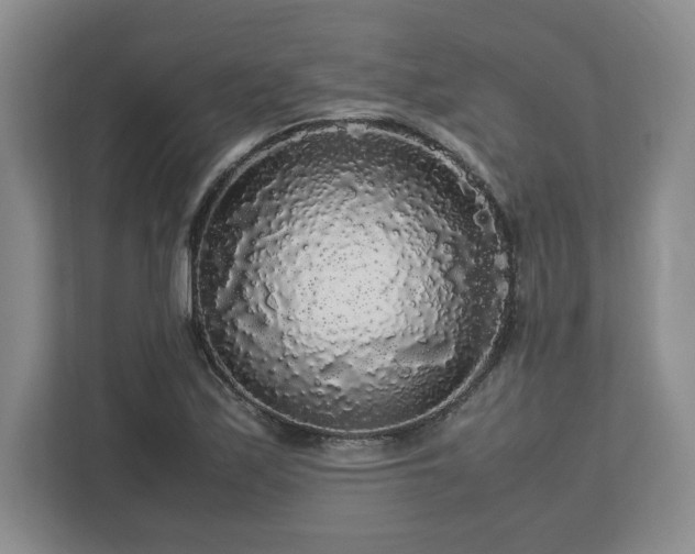 X0000113071171200909041052