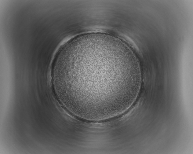 X0000113071172200909041052