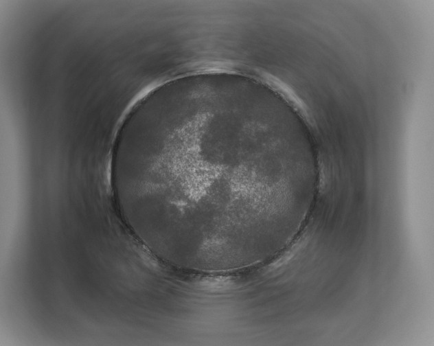 X0000113071174200909041052