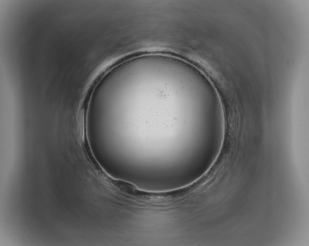 X0000113071175200909041052