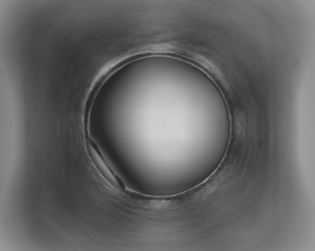 X0000113071176200909041052