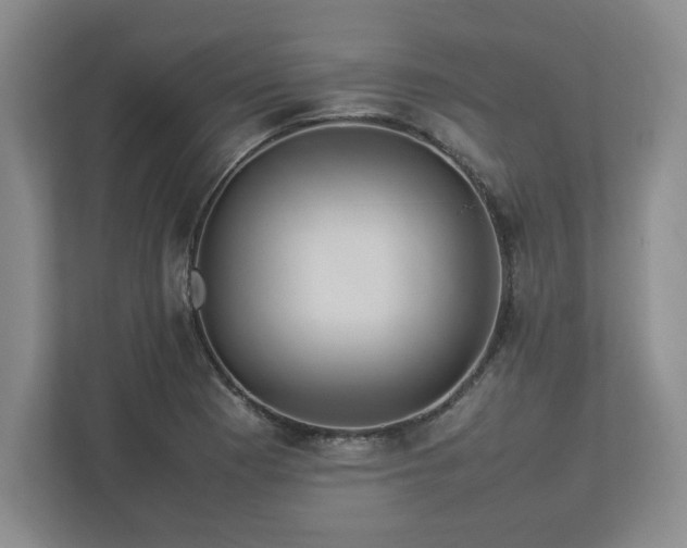 X0000113071177200909041052