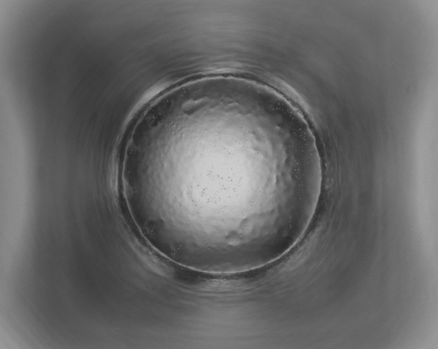 X0000113071179200909041052