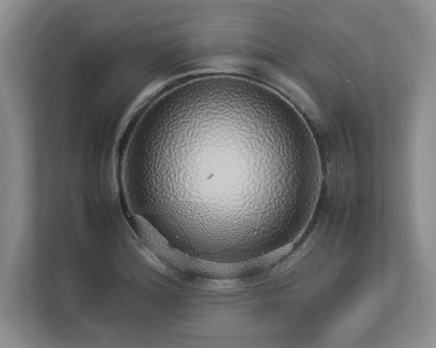 X0000113071180200909041052