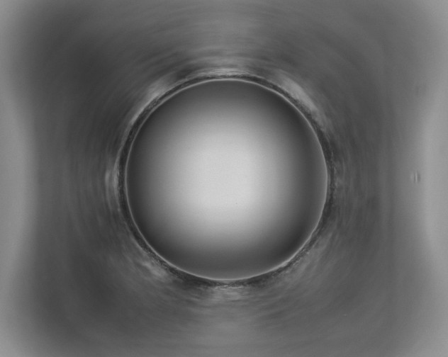 X0000113071181200909041052