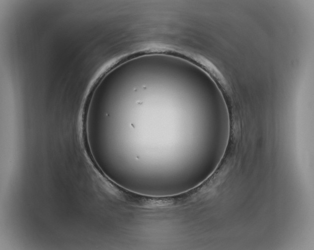 X0000113071183200909041052