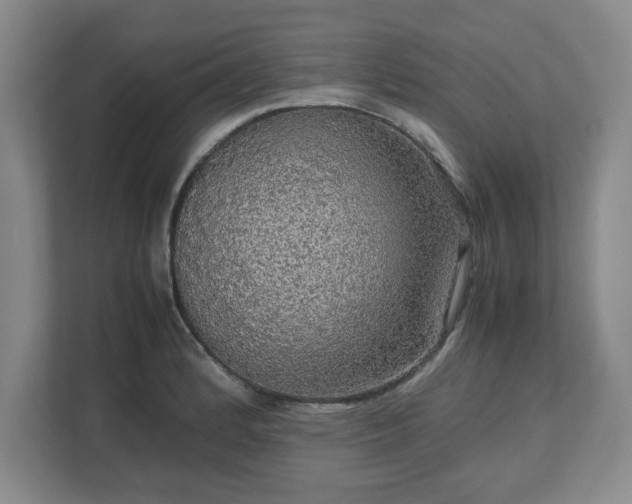 X0000113071184200909041052