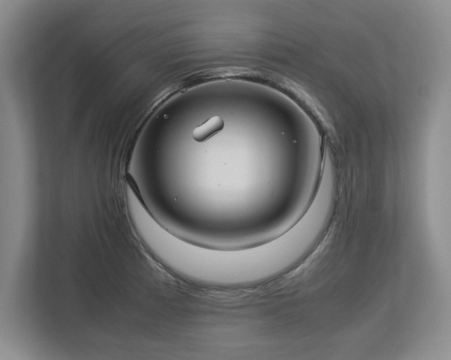 X0000113071185200909041052