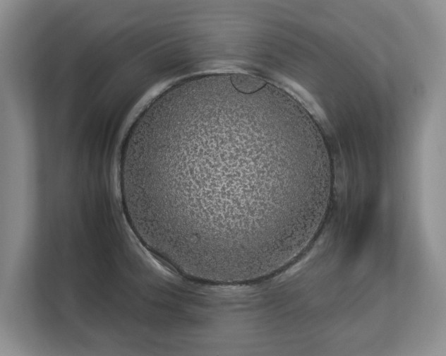 X0000113071188200909041052