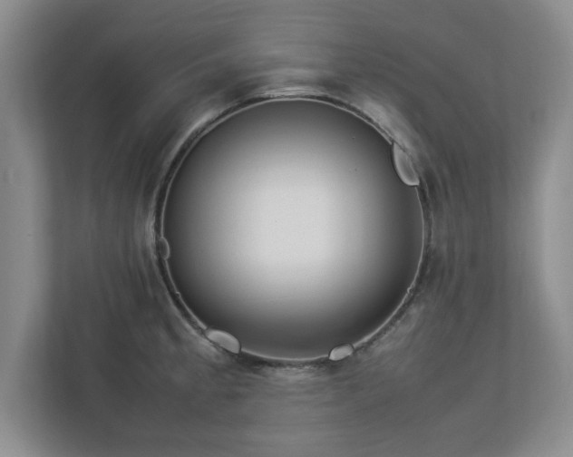 X0000113071189200909041052