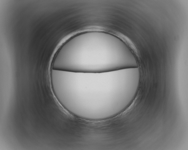 X0000113071192200909041051