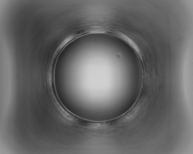 X0000113071195200909041051