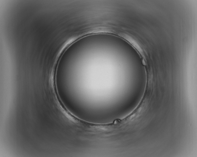 X0000113071197200909041051