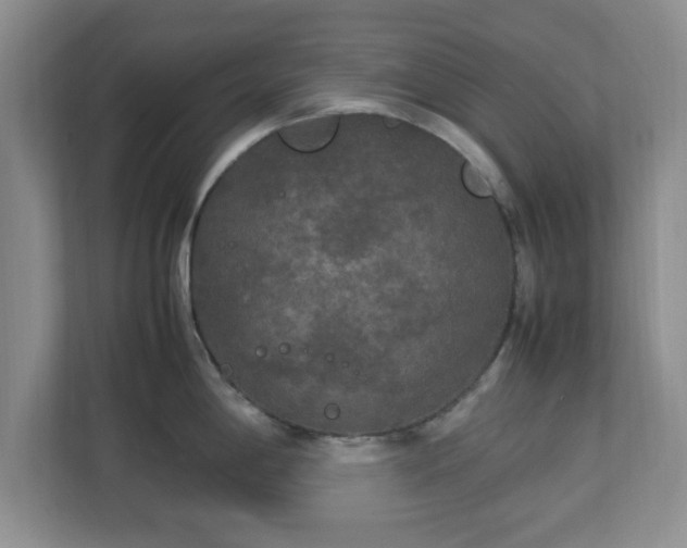 X0000113071198200909041051