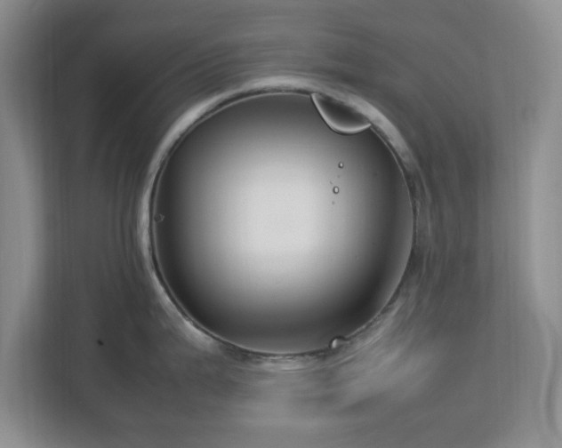 X0000113071199200909041051