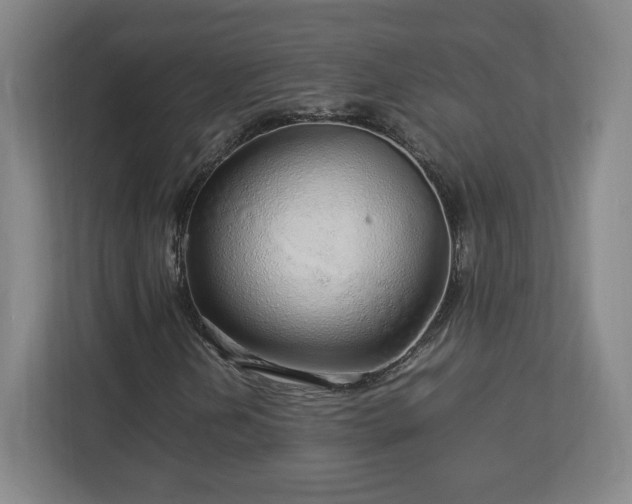 X0000113071202200909041051