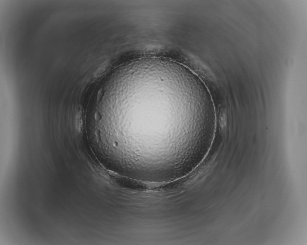 X0000113071204200909041051