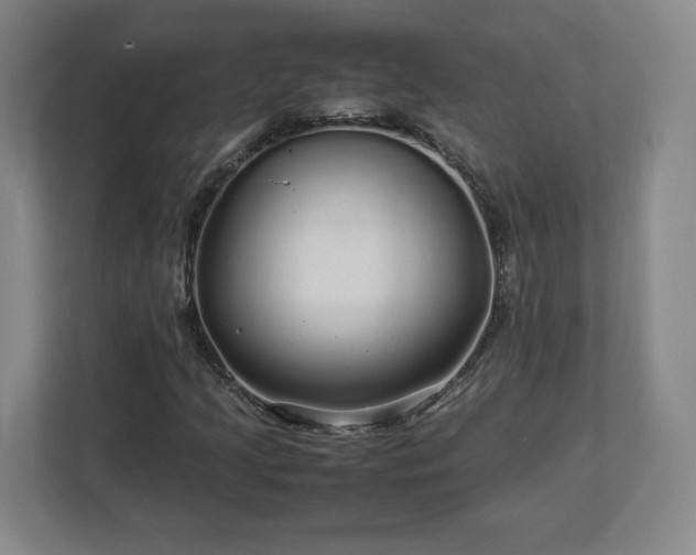 X0000113071205200909041051