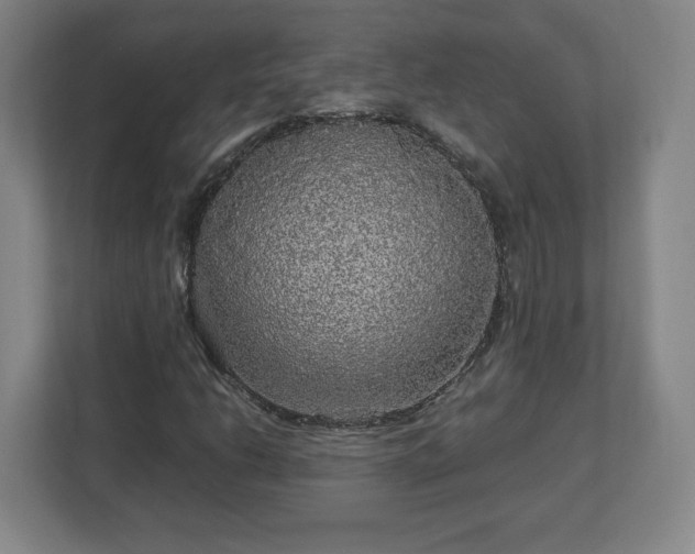 X0000113071206200909041051