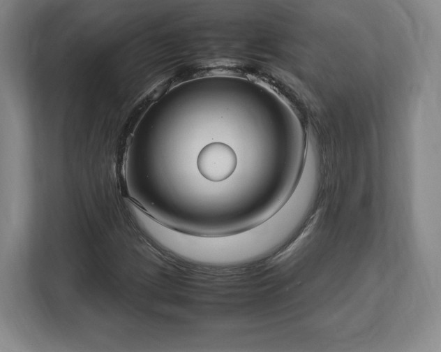 X0000113071209200909041051