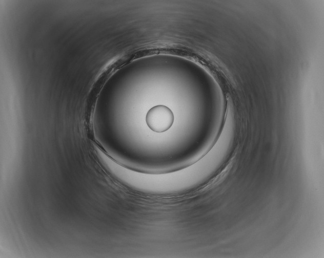 X0000113071210200909041051