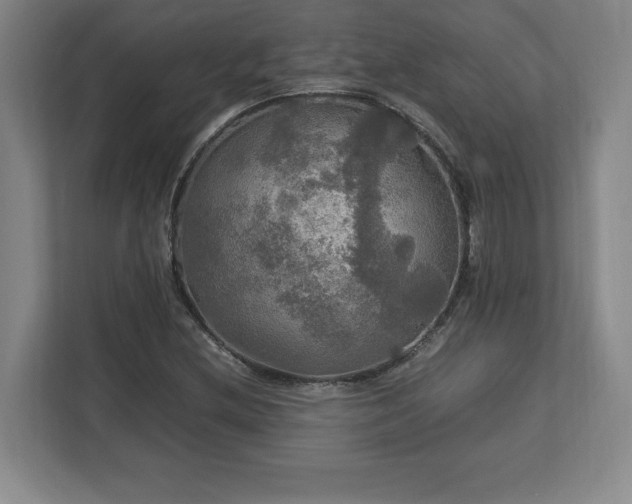 X0000113071212200909041051